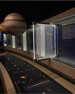 Ambientación para Museo de Historia Natural.